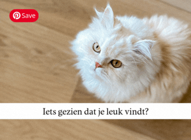 Kat Menu Pinterest