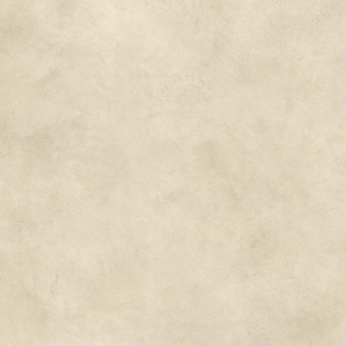 Magana Camel