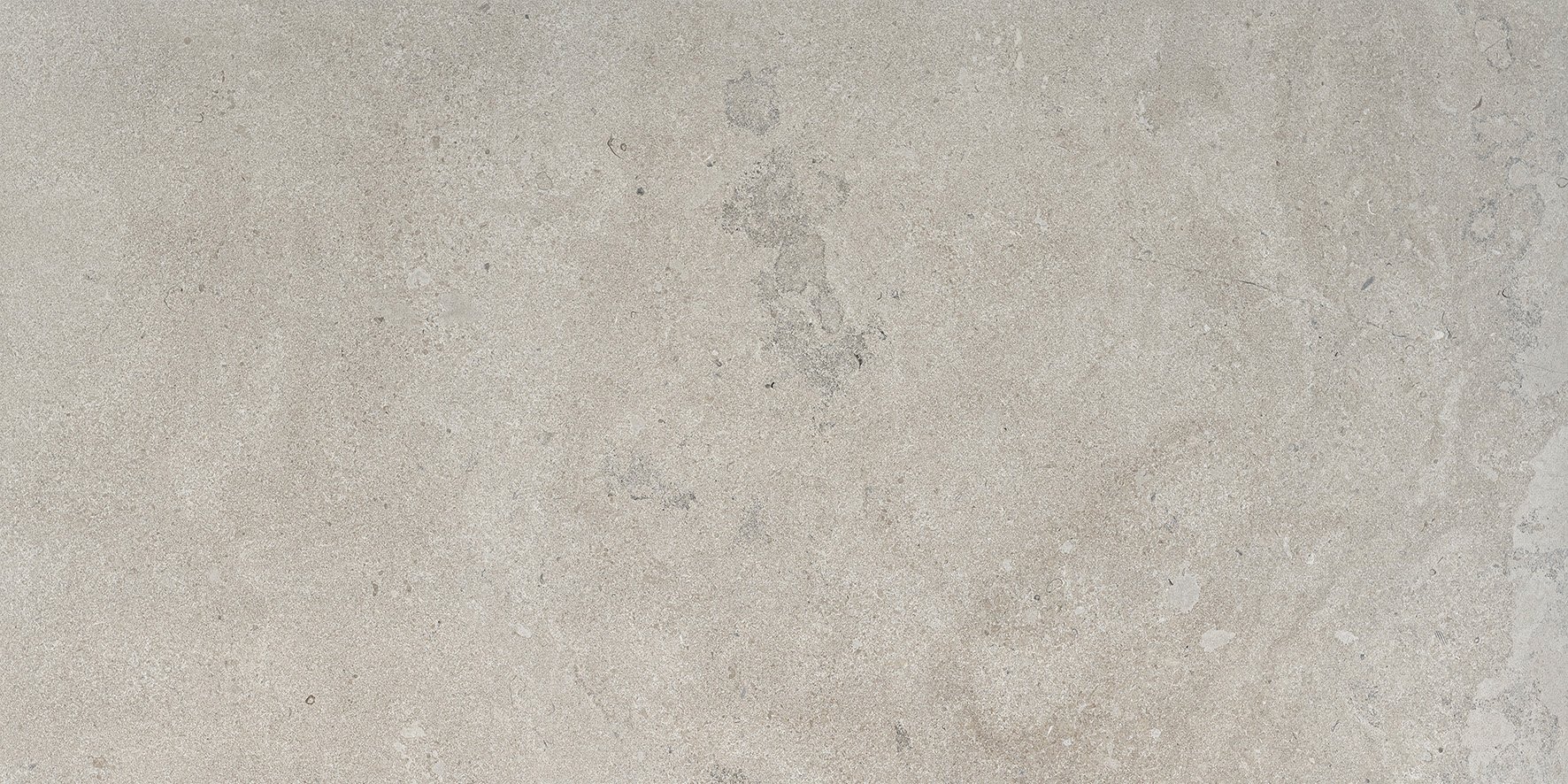 Palace Gris