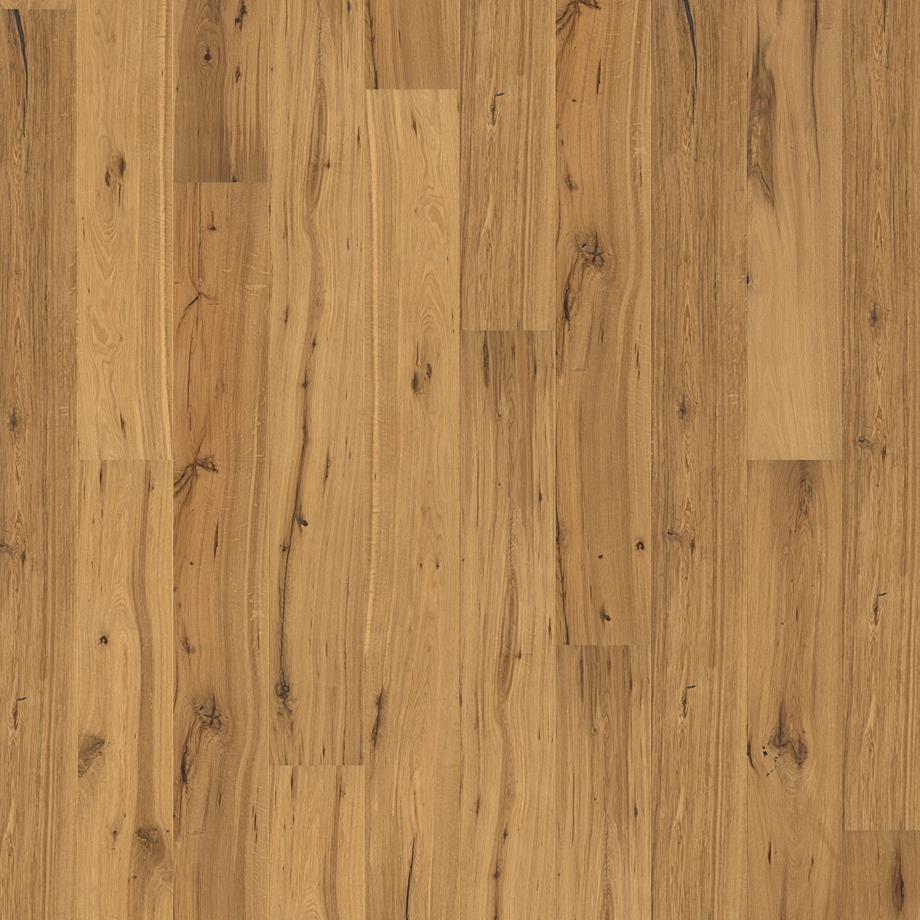 Savannah Naturel