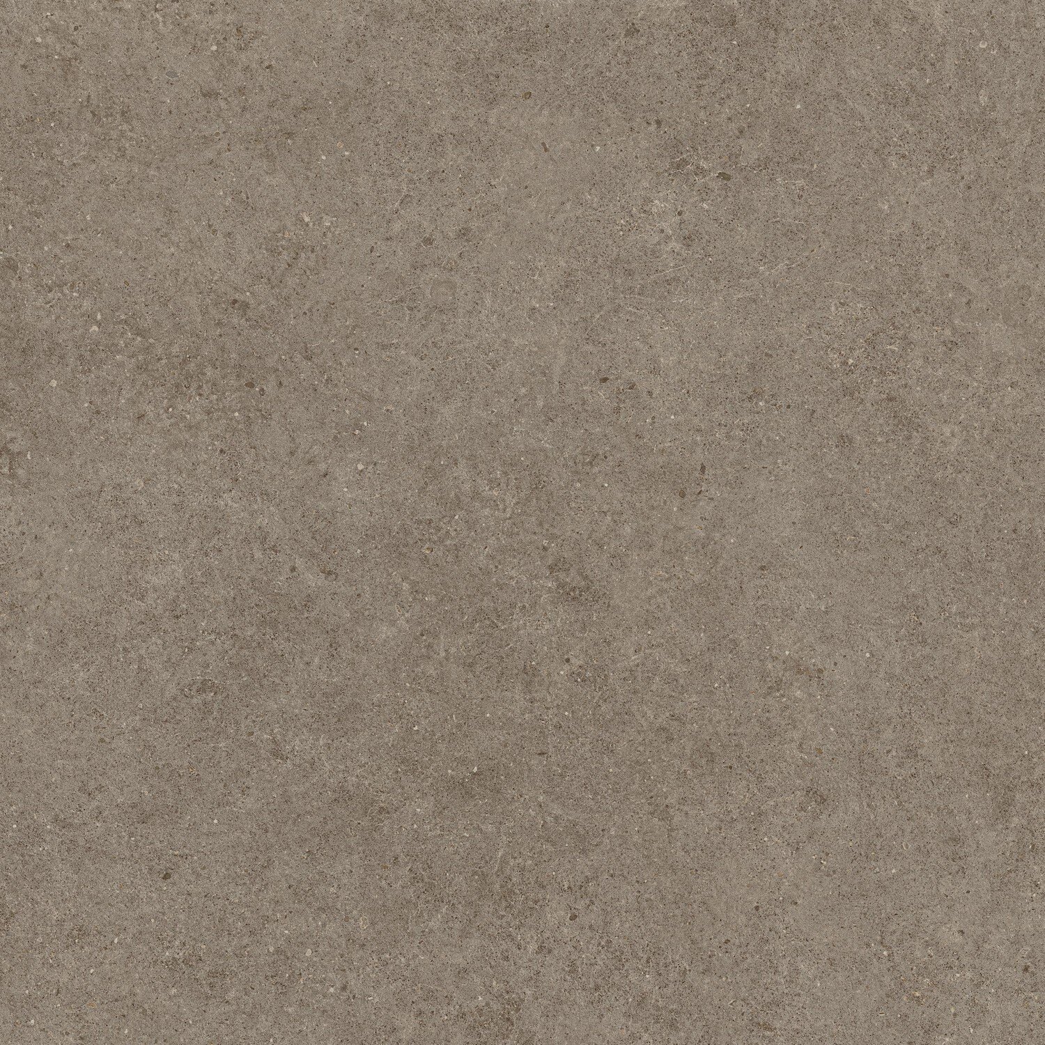 Bould Taupe Detail