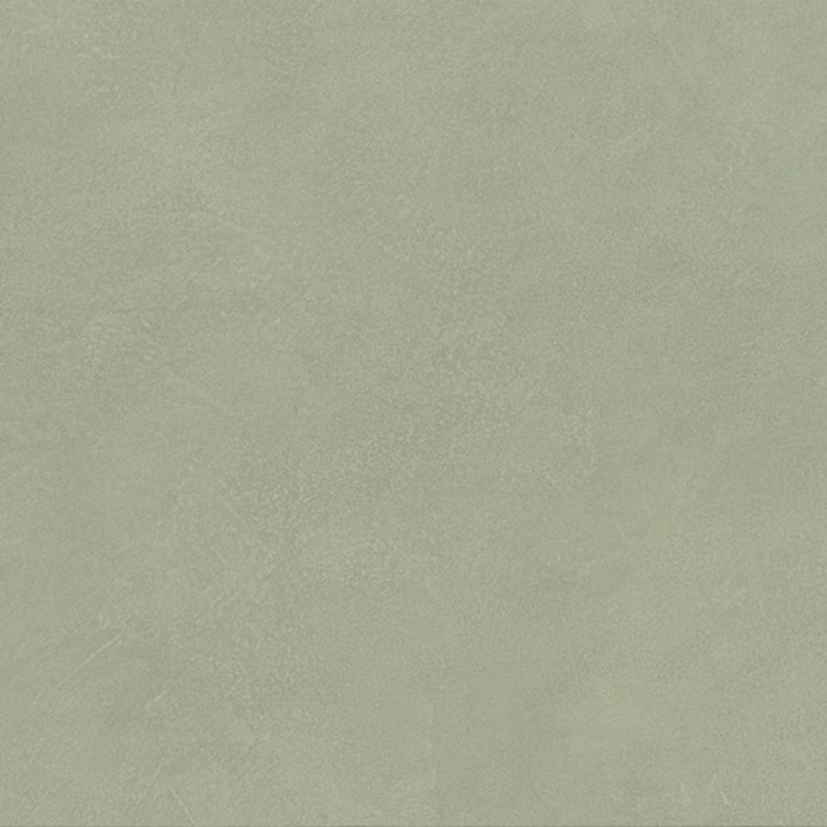 Magana Olive
