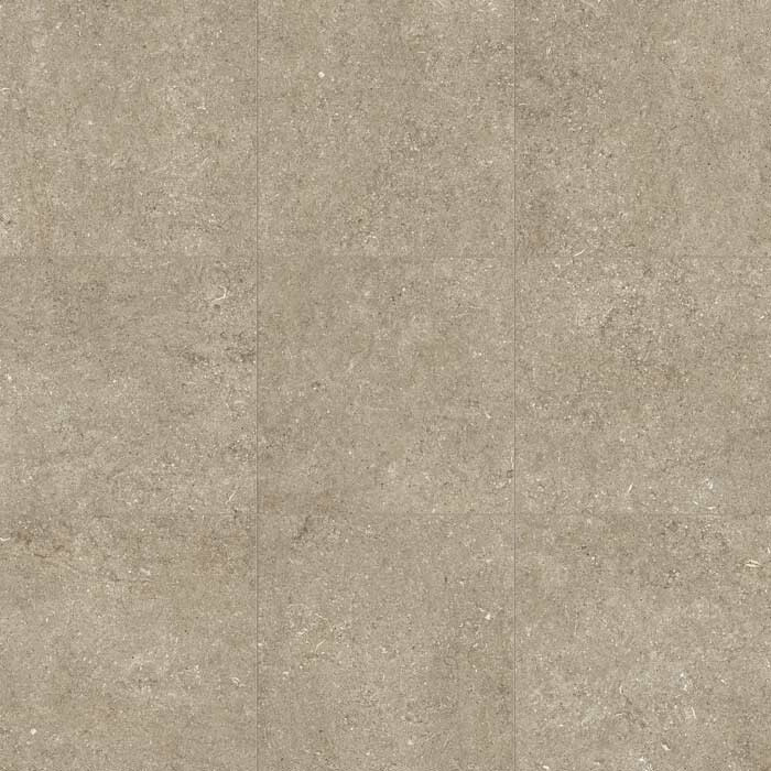 Sensi taupe fossil