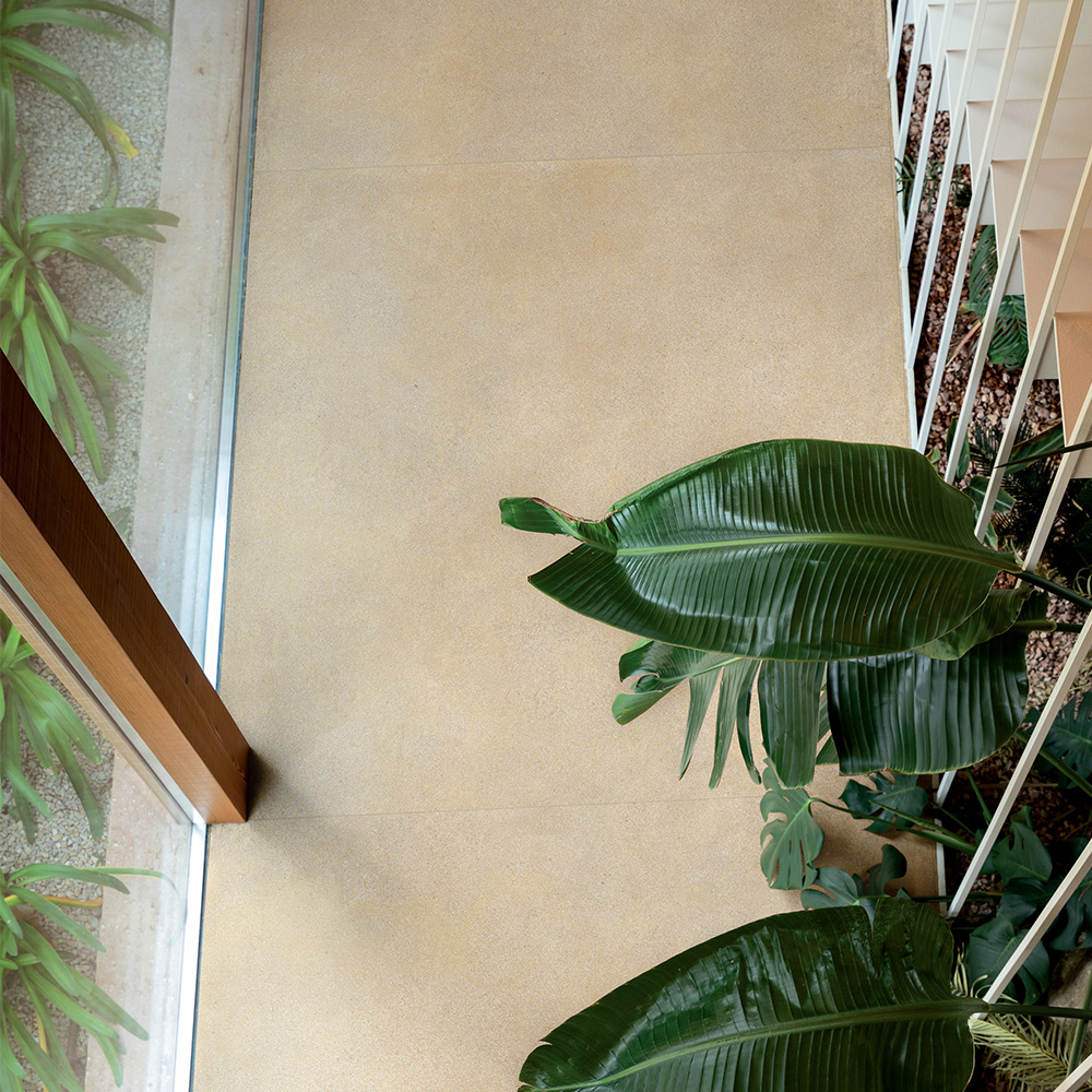 Cotone Grana Traphal