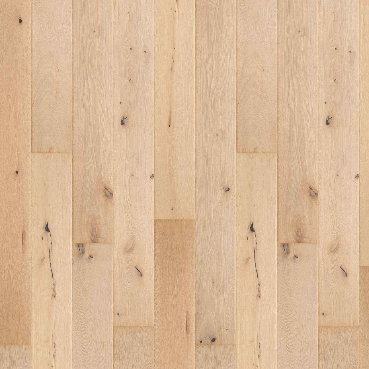 Specials Vintage Civetta