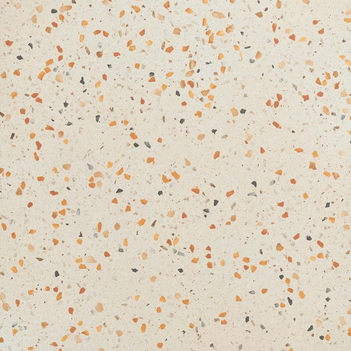 Concept Coral Detail