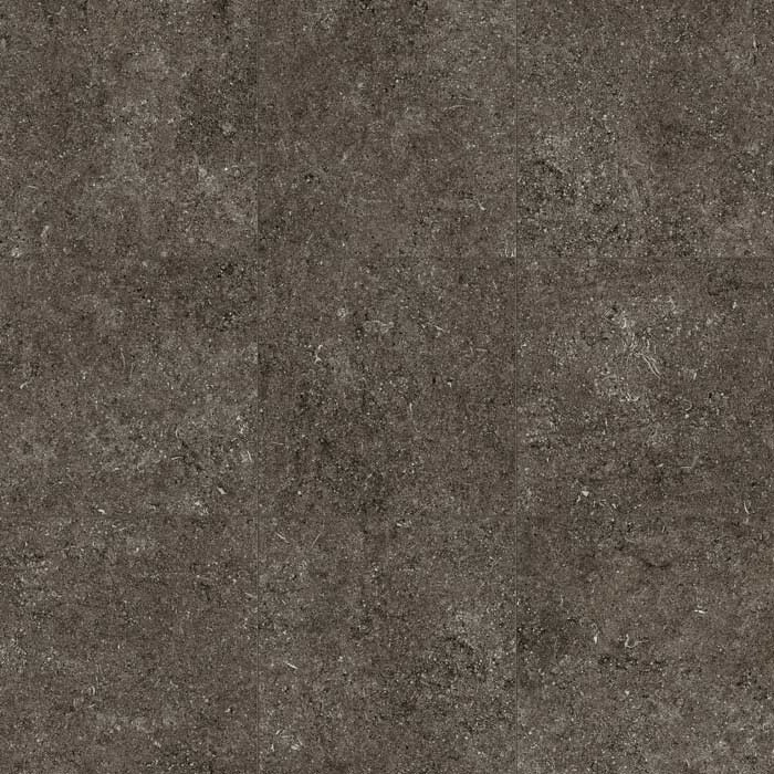 Sensi brown fossil