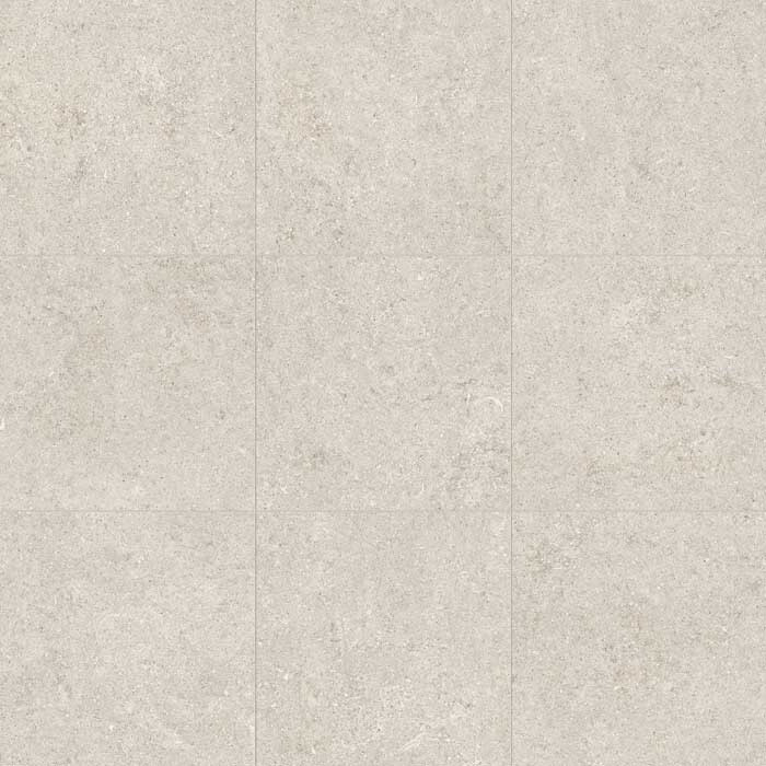Sensi white fossil