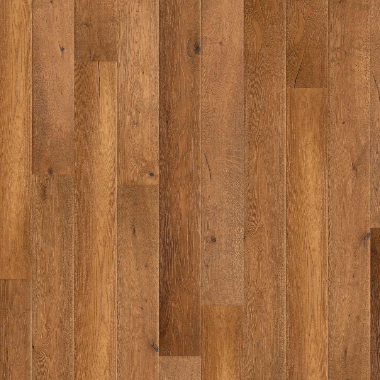 Specials Vintage Seceda